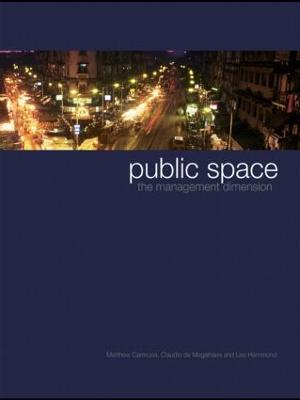 Public Space: The Management Dimension (Paperback)