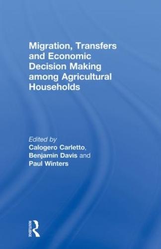 Migration, Transfers and Economic Decision Making among Agricultural Households (Hardback)