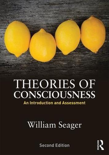 Theories of Consciousness: An Introduction and Assessment (Paperback)