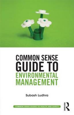 Common Sense Guide to Environmental Management - Common Sense Guides to Health and Safety (Paperback)