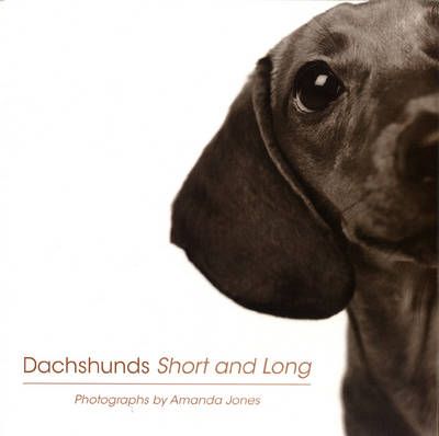 Dachshunds Short And Long (Hardback)