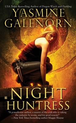Night Huntress (Paperback)