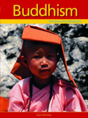 Buddhism - Introducing Religions S. (Hardback)