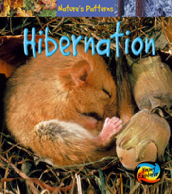 Hibernation - Young Explorer: Nature's Patterns (Paperback)