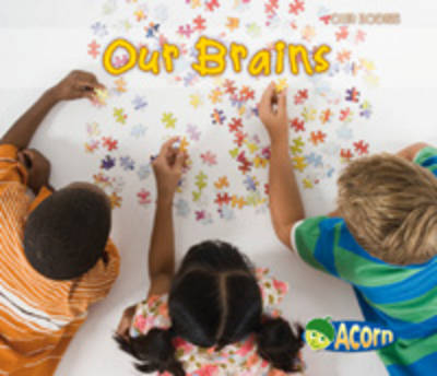 Our Brains - Acorn: Our Bodies (Paperback)