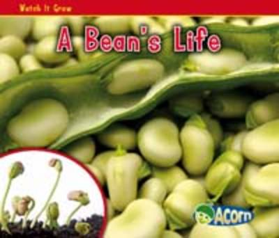 Watch it Grow: Pack A - Acorn: Watch it Grow (Hardback)