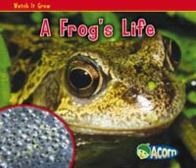 Watch it Grow: Pack B - Acorn: Watch it Grow (Paperback)