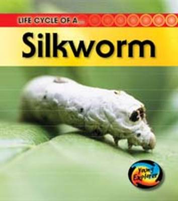Life Cycles: Pack C - Young Explorer: Life Cycles