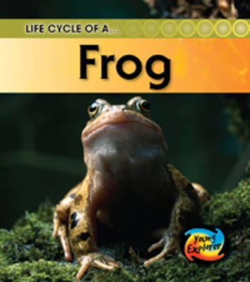 Cover Life Cycle of a Frog - Young Explorer: Life Cycles