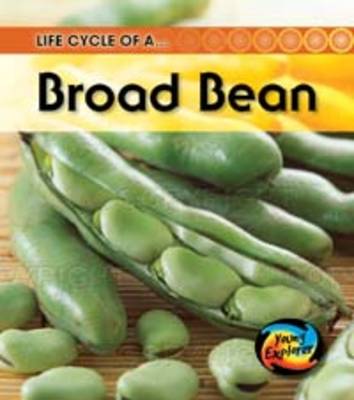Life Cycles: Pack A - Young Explorer: Life Cycles
