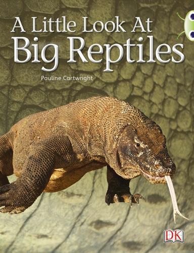 Bug Club NF Blue (KS1) B/1B A Little Look at Big Reptiles - BUG CLUB (Paperback)