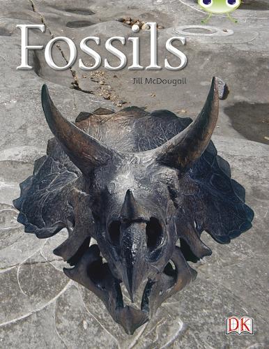 BC NF Gold A/2B Fossils - BUG CLUB (Paperback)