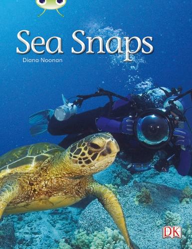 BC NF Green A/1B Sea Snaps - BUG CLUB (Paperback)