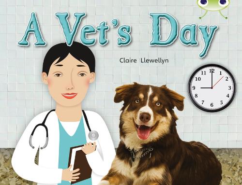 BC NF Green B/1B A Vet's Day - BUG CLUB (Paperback)