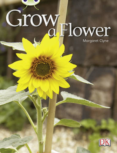 Bug Club Non-fiction Red C (KS1) Grow a Flower 6-pack - BUG CLUB