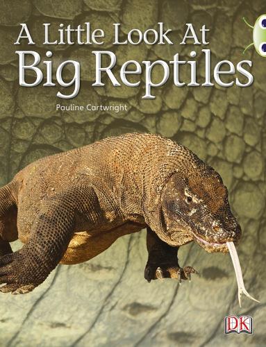 Bug Club Non-fiction Blue (KS1) B/1B A Little Look of Reptiles 6-pack - BUG CLUB
