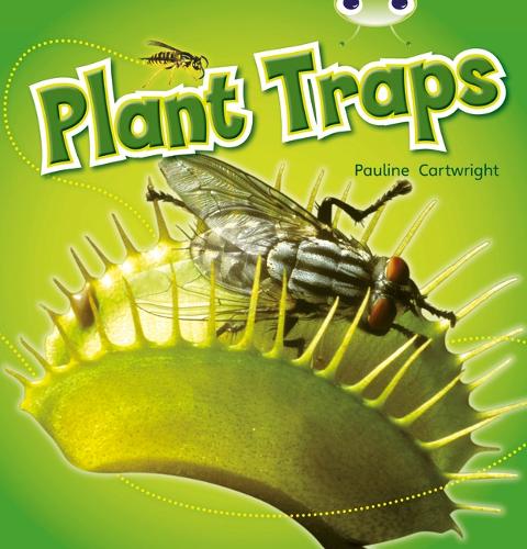 Bug Club Non-fiction Blue (KS1) B/1B Plant Traps 6-pack - BUG CLUB