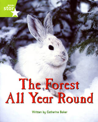Fantastic Forest Green level Non-fiction: The Forest all Year Round - FANTASTIC FOREST (Paperback)