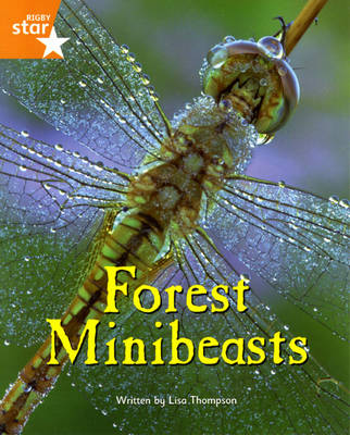 Fantastic Forest Orange Level Non-Fiction: Forest Minibeasts - FANTASTIC FOREST (Paperback)