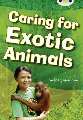 Bug Club Non-fiction White A/2A Caring for Exotic Animals 6-pack - BUG CLUB