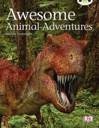 Bug Club Non-fiction Lime A/3C Awesome Animal Adventures 6-pack - BUG CLUB