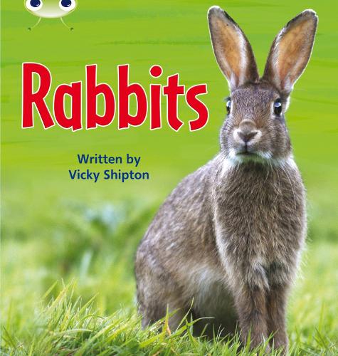 Bug Club Phonics Bug Non-fiction Set 27 Rabbits - Phonics Bug (Paperback)