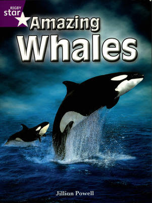 Rigby Star Indep Yr2/P3 Purple Level: Amazing Whales (3 Packs) - STAR INDEPENDENT