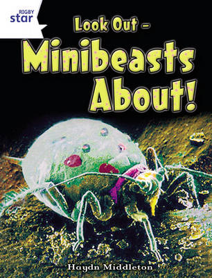 Rigby Star Indep Year 2/P3 White Level: Look out - minibeasts about! - STAR INDEPENDENT