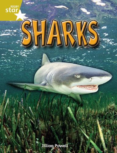 Rigby Star Independent Year 2 Gold Non Fiction Sharks Single - STAR INDEPENDENT (Paperback)