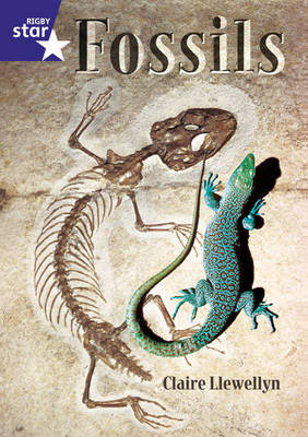 Rigby Red Giant 2, Fossils Big Book - Red Giant (Paperback)