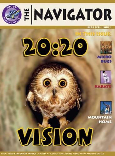Navigator Yr 6/P7: Non-Fiction Easy Buy Pack 09/08 - NAVIGATOR FICTION (Paperback)