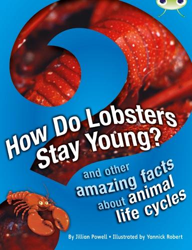 BC NF Brown A/3C How Do Lobsters Stay Young?: BC NF Brown A/3C How Do Lobsters Stay Young? NF Brown A/3c - BUG CLUB (Paperback)