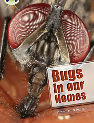 BC NF Lime A/3C Bugs in our Homes - BUG CLUB (Paperback)