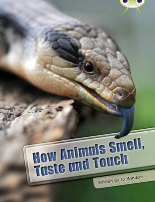 BC NF White A/2A How Animals Smell, Taste and Touch: BC NF White A/2A How Animals Smell, Taste and Touch White A / NC 5B - BUG CLUB (Paperback)