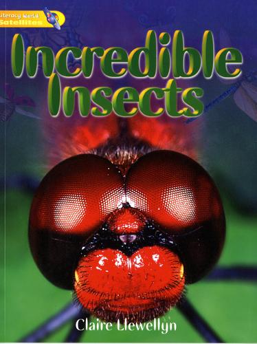 Literacy World Satellites Non Fic Stg 1 Incredible Insects - Literacy World Satellites (Paperback)