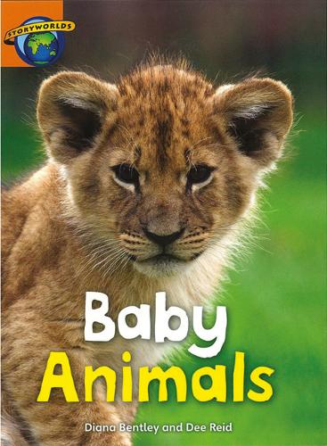 Fact World Stage 4: Baby Animals - FACTWORLD (Paperback)