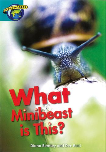 Fact World Stage 6: What Minibeast Is This? - FACTWORLD (Paperback)
