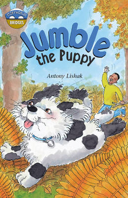 Storyworlds Bridges Stage 12 Jumble the Puppy 6 Pack - STORYWORLDS