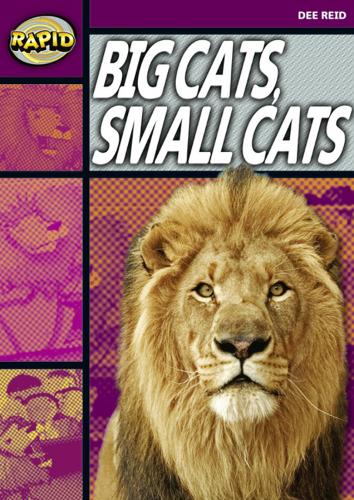 Rapid Stage 1 Set A: Big Cats Small Cats (Series 1) - RAPID SERIES 1 (Paperback)