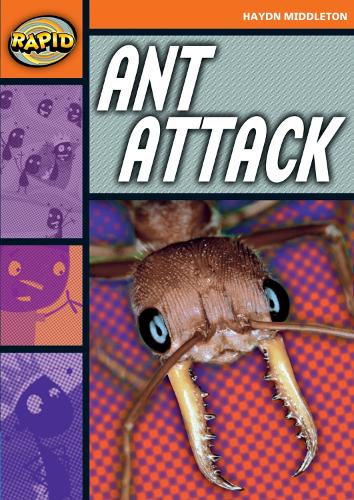 Rapid Stage 4 Set B: Ant Attack (Series 1) - RAPID SERIES 1 (Paperback)