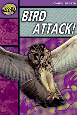 Rapid Stage 1 Level B: Bird Attack! Reader Pack of 3 (Series 2) - RAPID SERIES 2