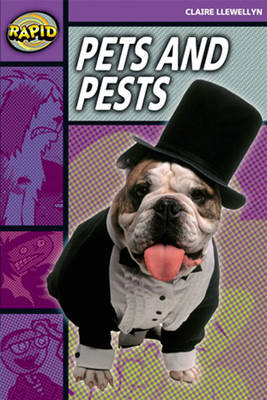 Rapid Stage 1 Set B: Pets and Pests Reader Pack of 3 (Series 2) - RAPID SERIES 2