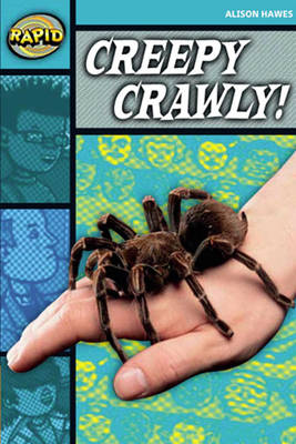Rapid Stage 3 Set B: Creepy, Crawly Reader Pack of 3 (Series 2) - RAPID SERIES 2