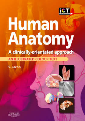 Human Anatomy: A Clinically-Orientated Approach - Illustrated Colour Text (Paperback)