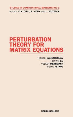Perturbation Theory for Matrix Equations: Volume 9 - Studies in Computational Mathematics (Hardback)