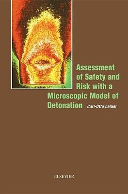 Assessment of Safety and Risk with a Microscopic Model of Detonation (Hardback)