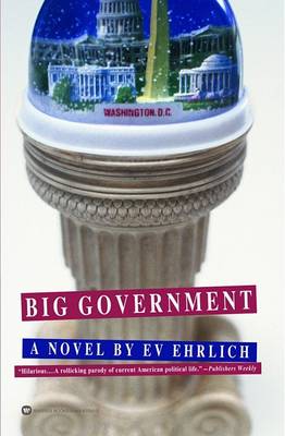 Big Government (Paperback)