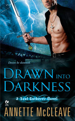 Drawn into Darkness: A Soul Gatherer Novel (Paperback)