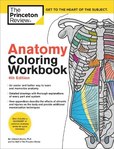 Anatomy Coloring Workbook, 4th Edition by The Princeton Review, Edward