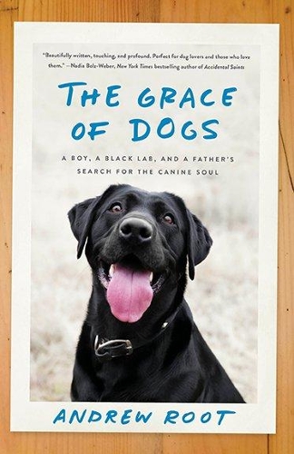 The Grace Of Dogs: A Boy, a Black Labrador and a father's search for the canine soul (Paperback)